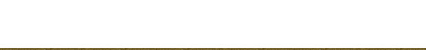 ある日のお料理一例